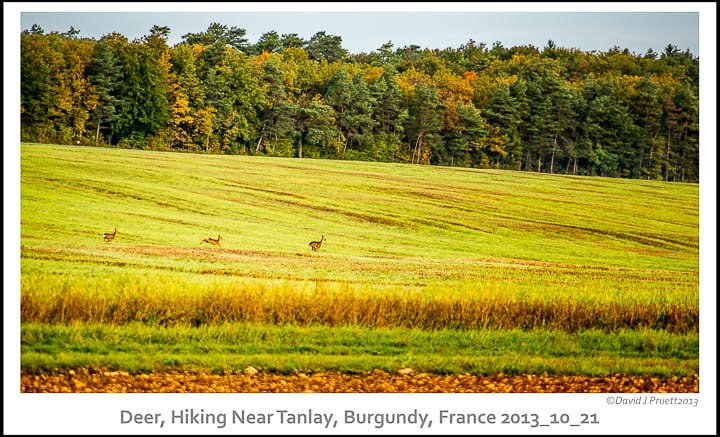 120_Tanlay_France2013_10_21-Edit.jpg