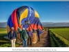 1016_Balloon_Burgundy2013_10-Edit.jpg