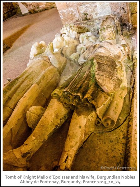 1118_Abbey_de_Fontenay2013_10-Edit.jpg