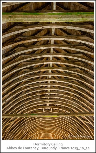 1124_Abbey_de_Fontenay2013_10-Edit.jpg