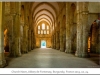 1119_Abbey_de_Fontenay2013_10-Edit.jpg