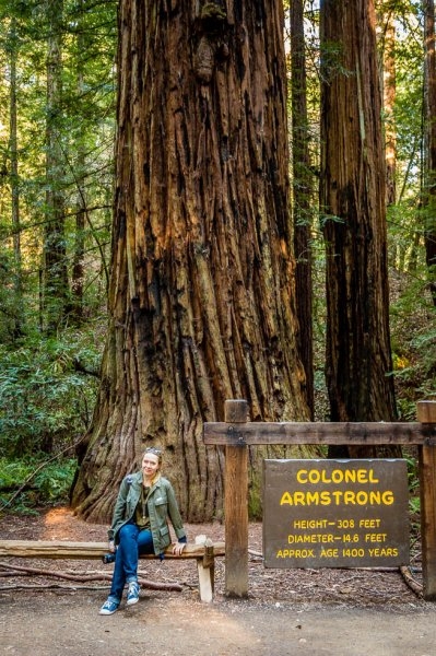 33 Armstrong Redwoods State Natural Reserve 2014_04.jpg