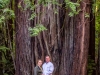 05 Armstrong Redwoods State Natural Reserve 2014_04-Edit.jpg