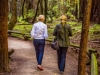 09 Armstrong Redwoods State Natural Reserve 2014_04-Edit.jpg