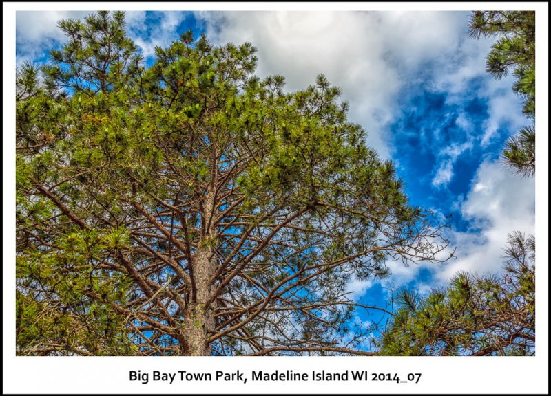 244_MISA-BigBayTownPark2014_07-Edit-Edit.jpg