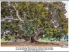 005_Balboa_Park_SanDiego2014_12-Edit.jpg