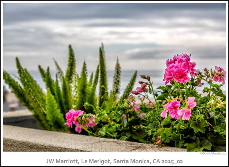 009_JW_Marriott_Santa_MonicaCA2015_02-Edit.jpg