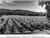 2015_07NapaValley_016-Edit.jpg