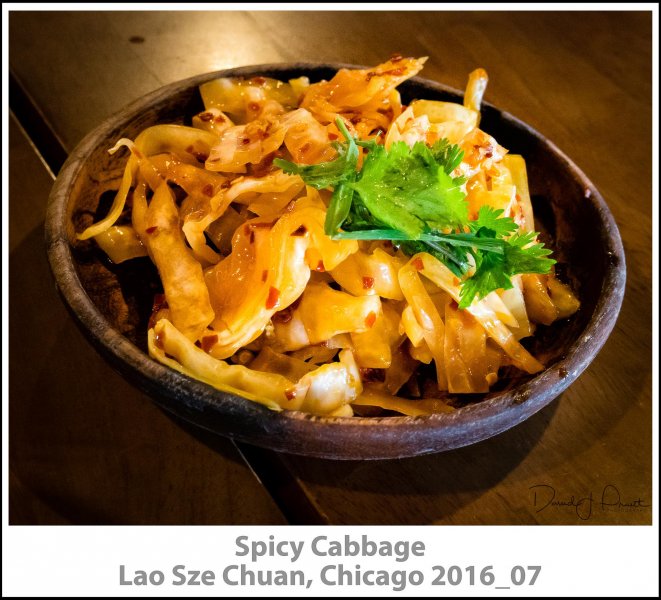 007_Lao Sze ChuanChicago2016_07-Edit.jpg