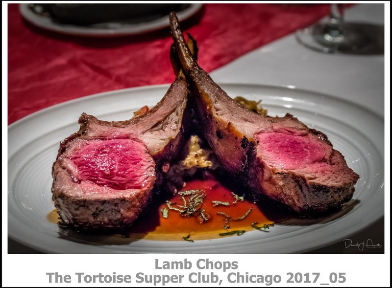 005_The_Tortoise_Supper_ClubChicago2017_05-Edit.jpg