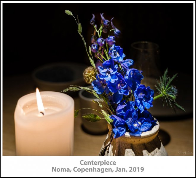 258_NomaCopenhagen2019_01-Edit.jpg