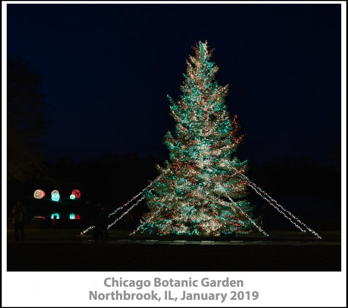 008_Chicago_Botanic_Garden2019_01-Edit.jpg