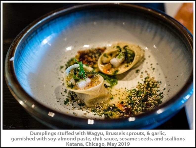 Dumplings stuffed with Wagyu, Brussels sprouts, & garlic, garnished with soy-almond paste, chili sauce, sesame seeds, and scallions, Katana, Chicago, May 2019