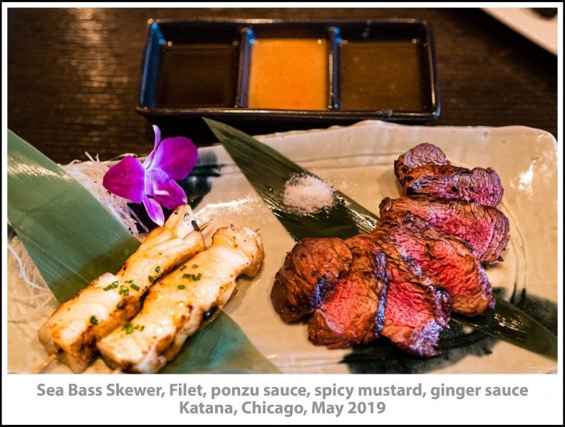 Sea Bass Skewer, Filet, ponzu sauce, spicy mustard, ginger sauce, Katana, Chicago, May 2019