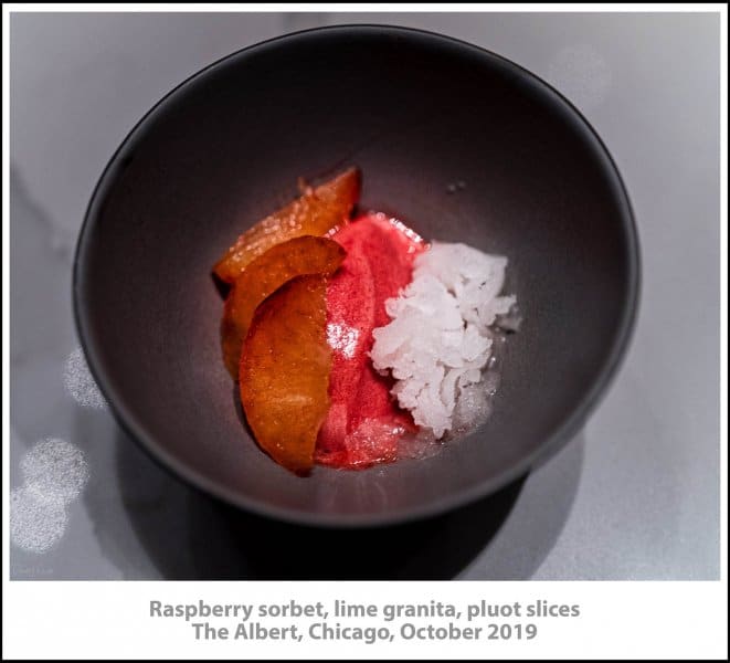 Raspberry sorbet, lime granita, pluot slices, The Albert, Chicago, October 2019