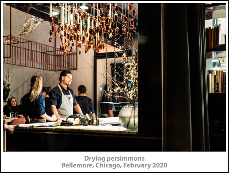 Drying persimmons, Bellemore, Chicago, February 2020