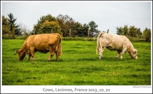 A Barge Cruise on the Burgundy Canal, Day 2, Part 4, Lézinnes