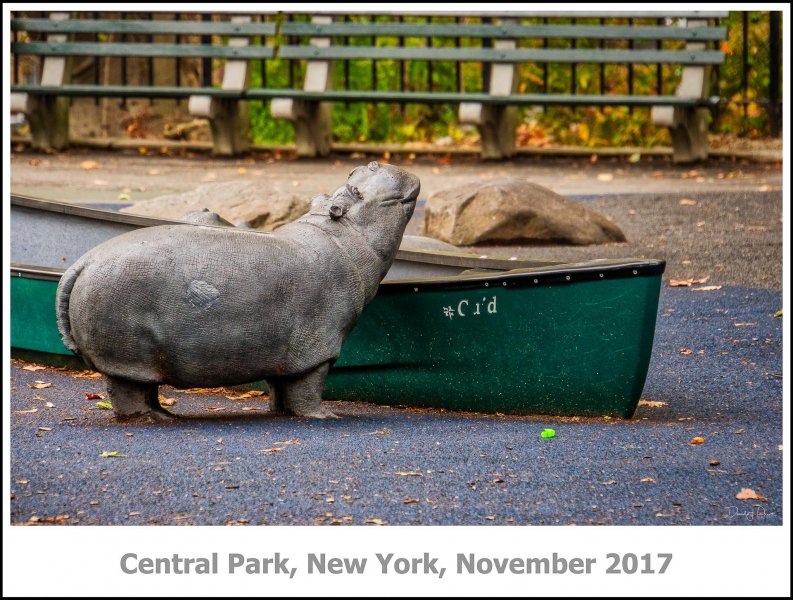 Central Park, New York, November 2017